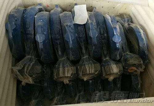 般德渦輪蝶閥、止回閥、過(guò)濾器等出口以色列