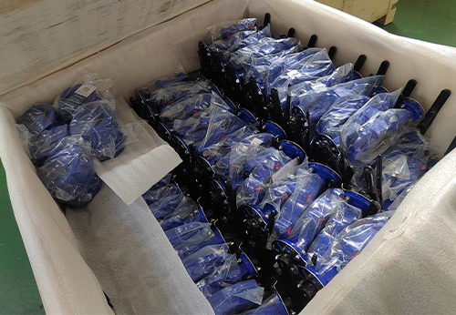 般德蝶閥、蝶式止回閥等產(chǎn)品出口澳大利亞